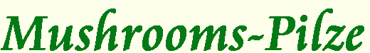 www.mushrooms-pilze.de